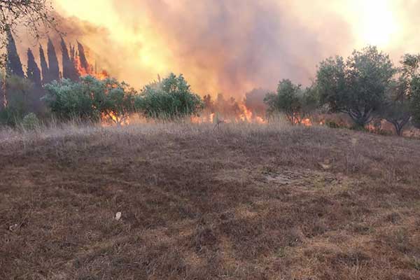 119022546 2649787501952884 8512579626945937577 n