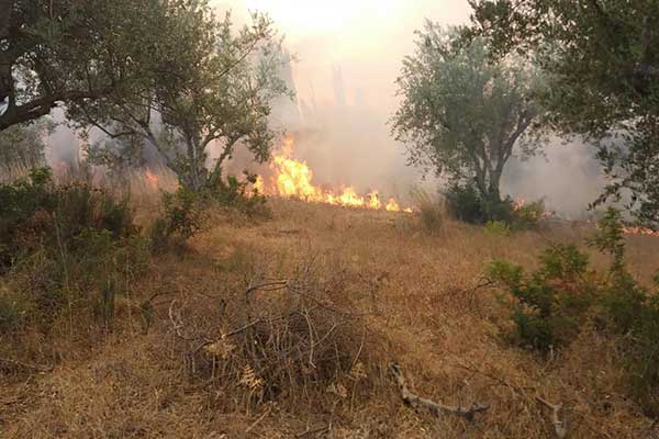 119026863 2649787225286245 7458427731126815203 n