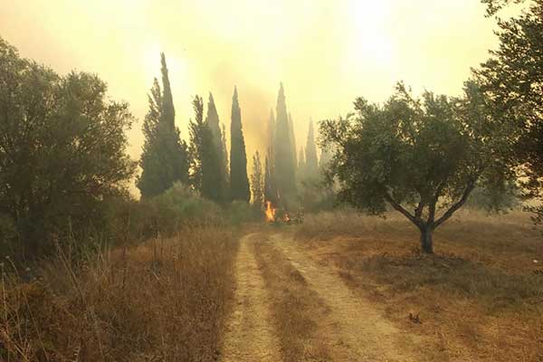 119043773 2649787155286252 379760065567220865 n